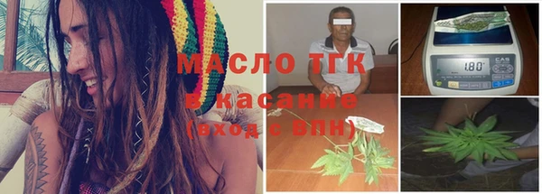 индика Михайловск