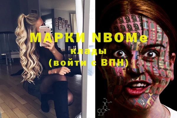 индика Михайловск