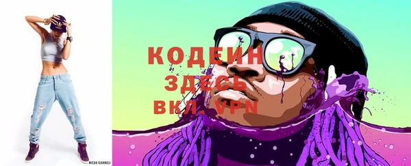 индика Михайловск