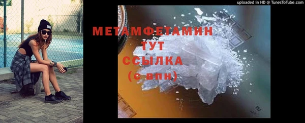 индика Михайловск