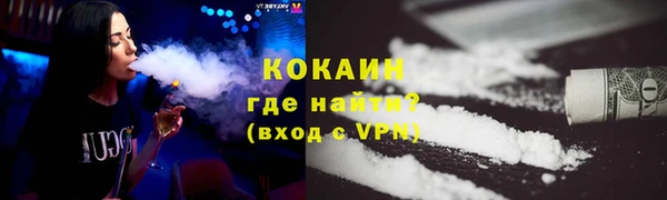 индика Михайловск
