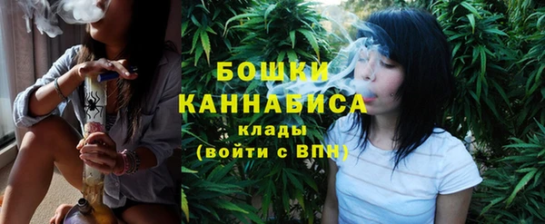 индика Михайловск